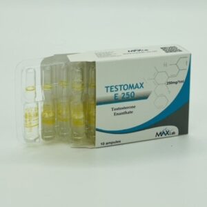 Тестомакс (Testomax E 250) - Тестостерон енантат - 10 амп. х 250 mg - MAXLab